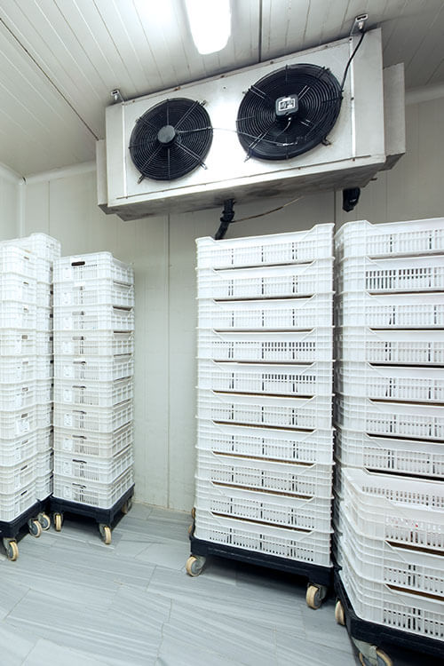 Komplettlösungen für Kühlhaus Kältehaus im Lebensmitteleinzelhandel im Kreis Wesel